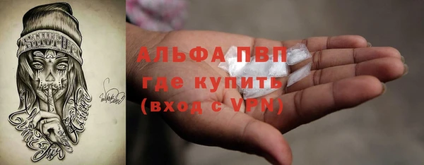 дживик Богданович