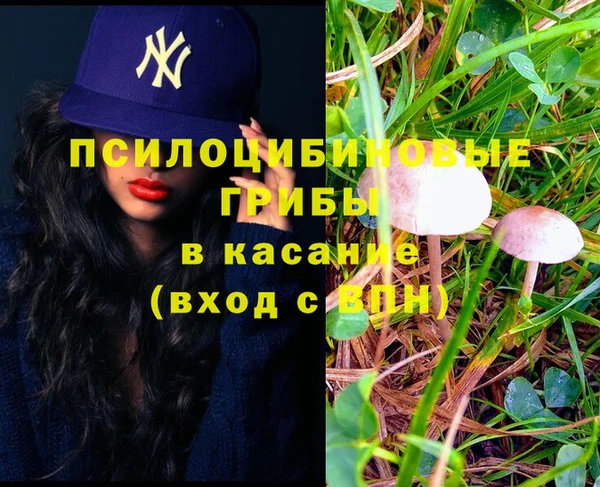героин Богородицк