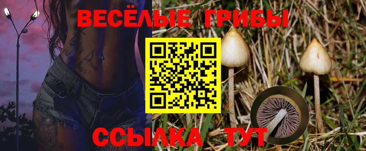 Псилоцибиновые грибы Magic Shrooms  Вход с VPN  Воткинск 